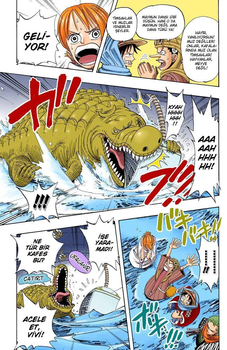 One Piece [Renkli] - Sayfa 9