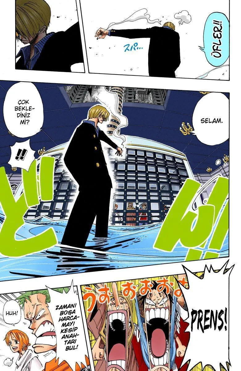 One Piece [Renkli] - Sayfa 14