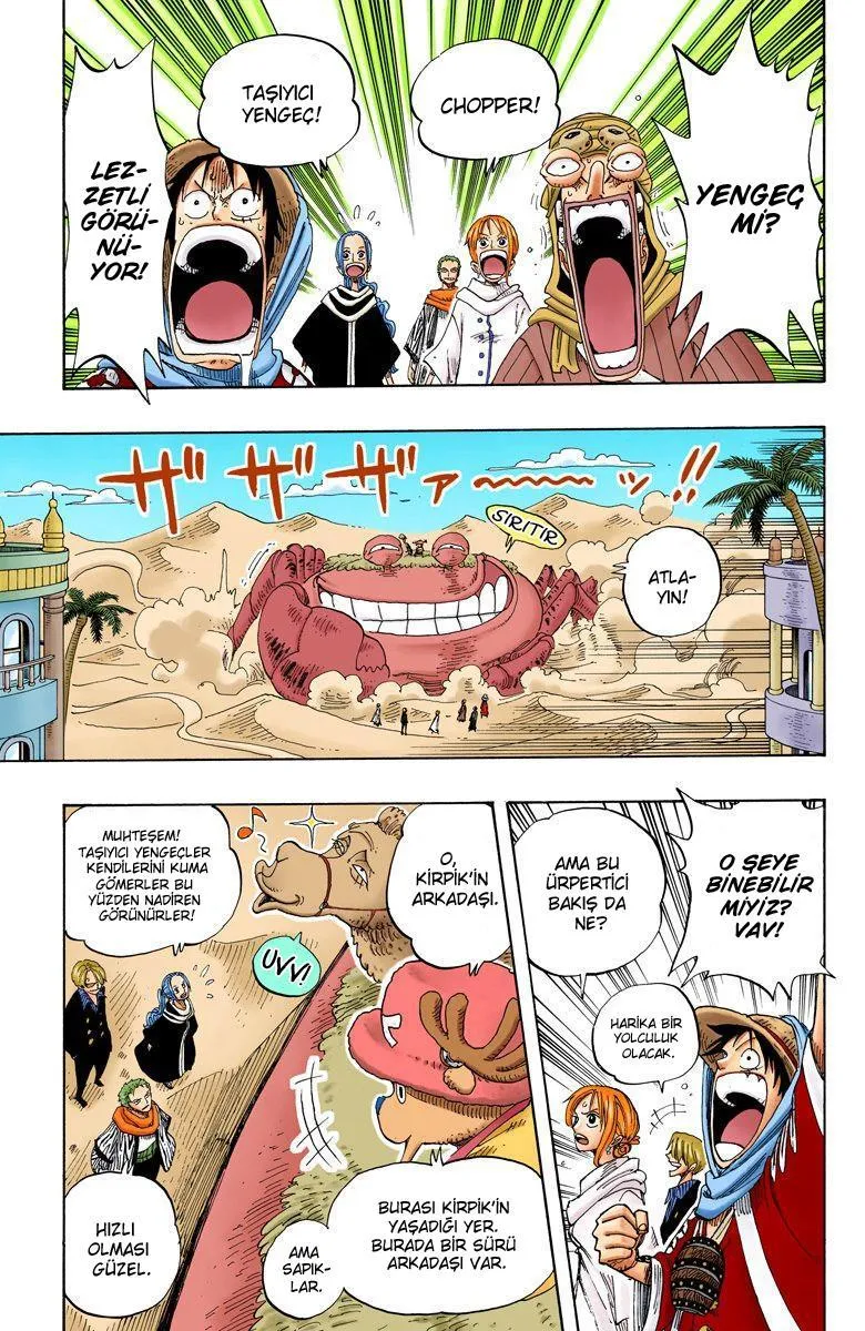 One Piece [Renkli] - Sayfa 18