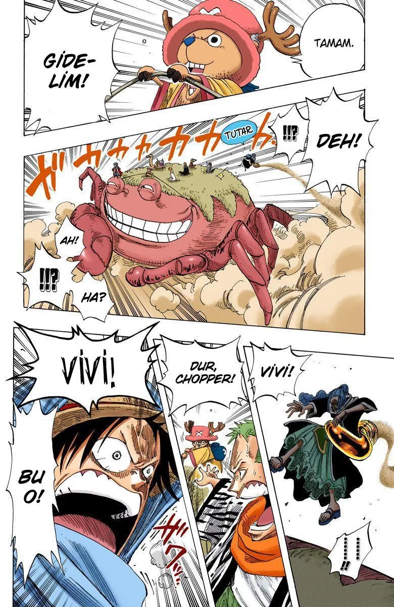 One Piece [Renkli] - Sayfa 19