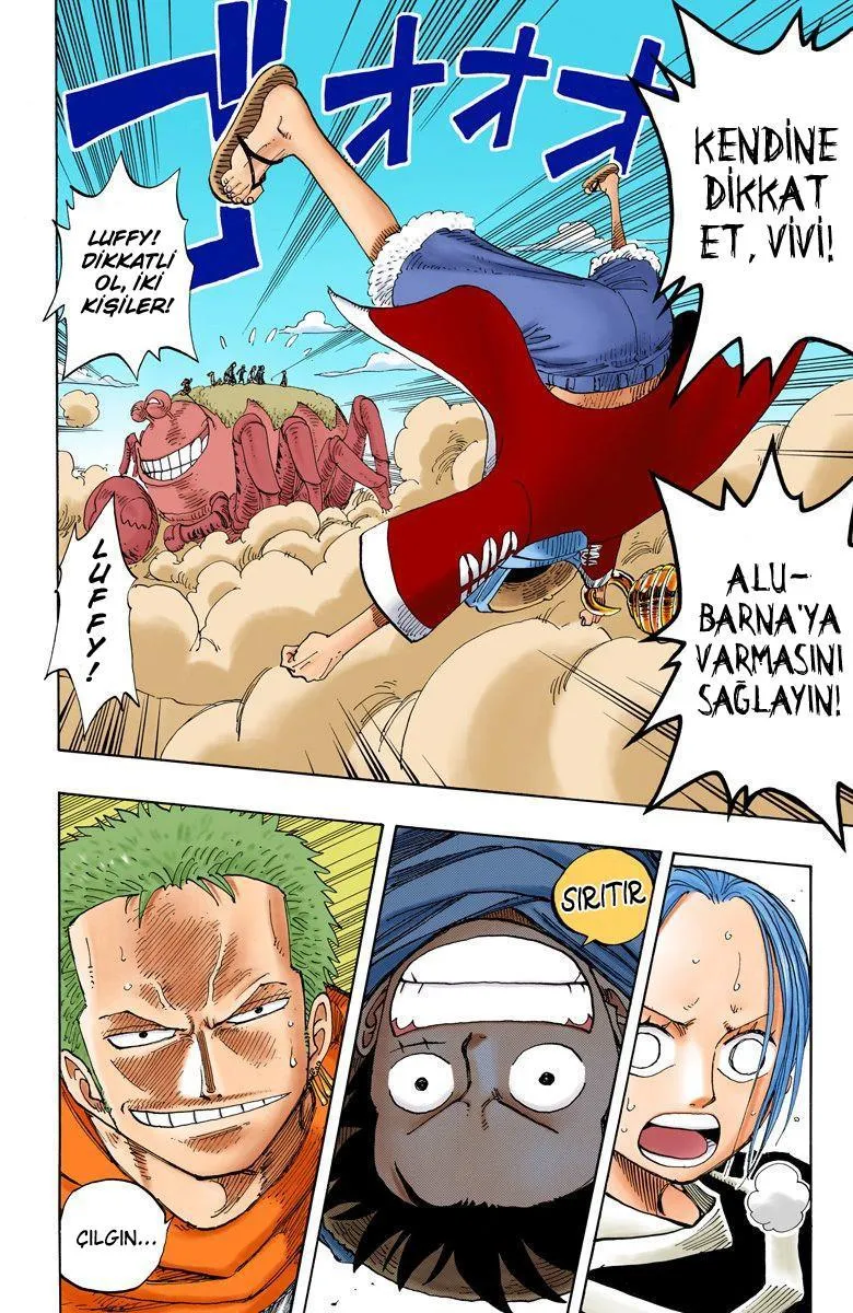 One Piece [Renkli] - Sayfa 3