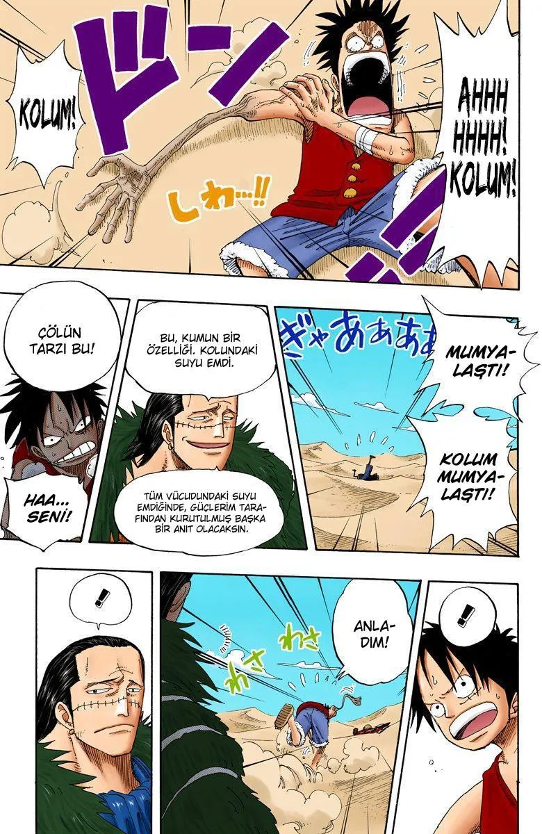 One Piece [Renkli] - Sayfa 12