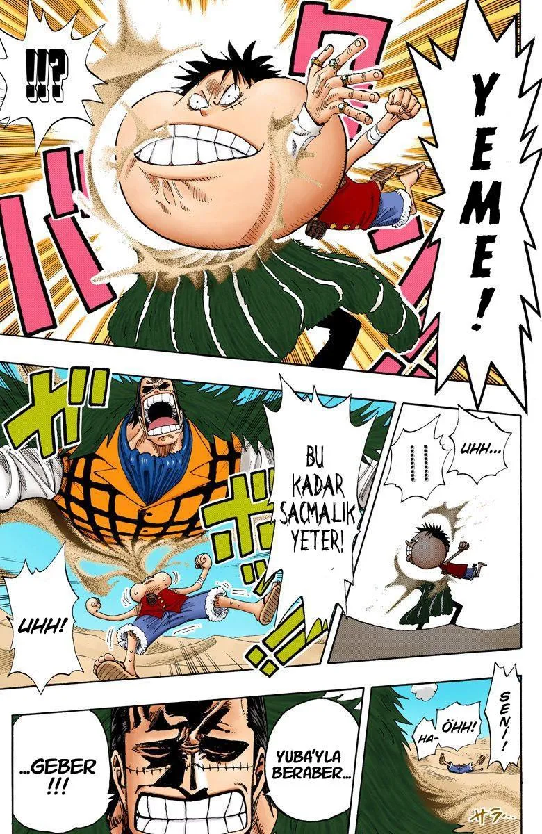 One Piece [Renkli] - Sayfa 14