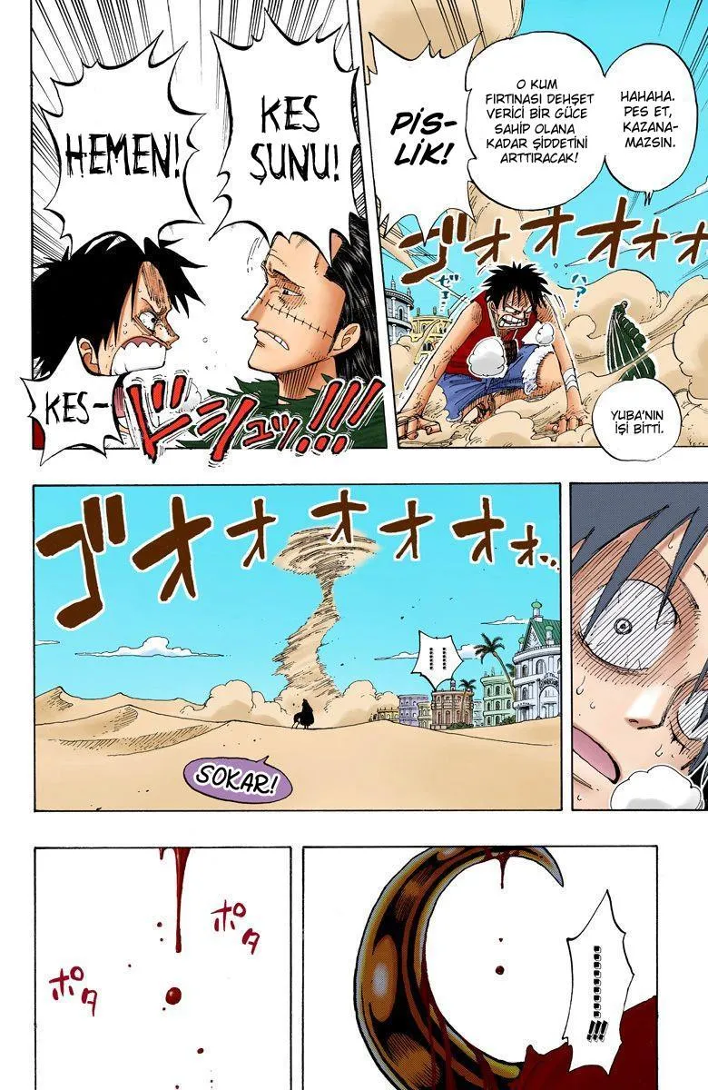 One Piece [Renkli] - Sayfa 19