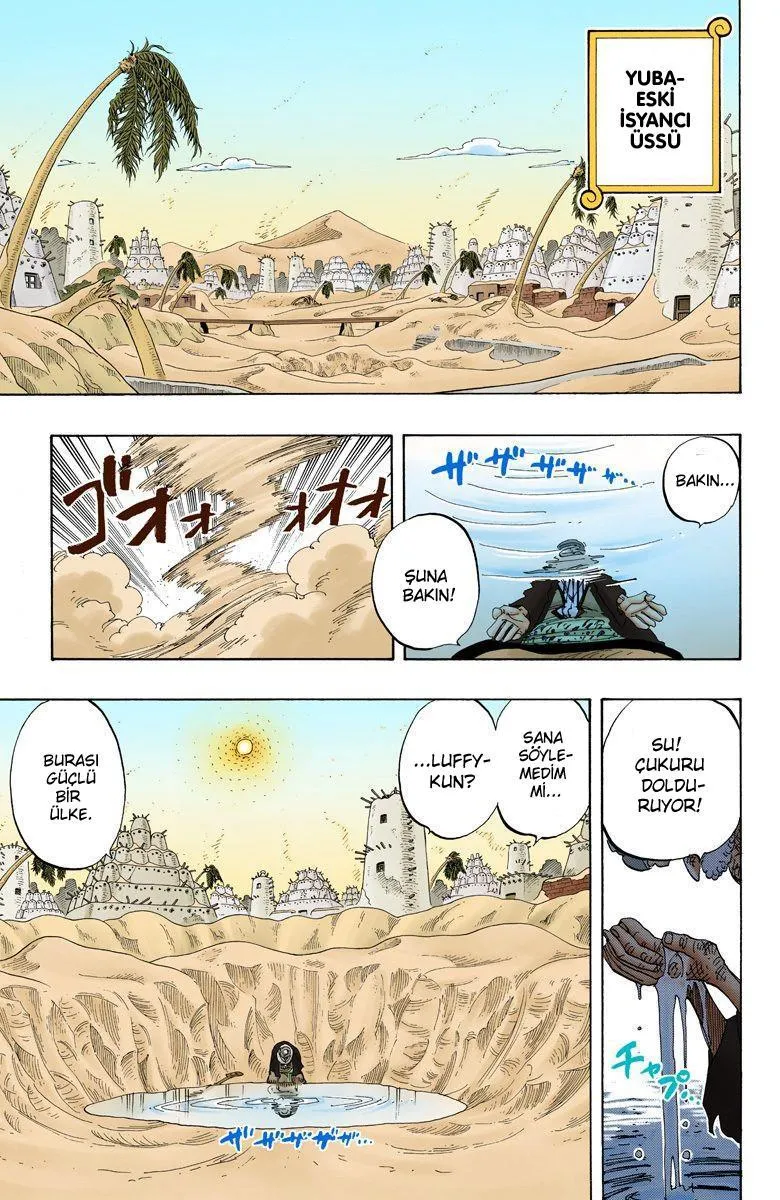 One Piece [Renkli] - Sayfa 6