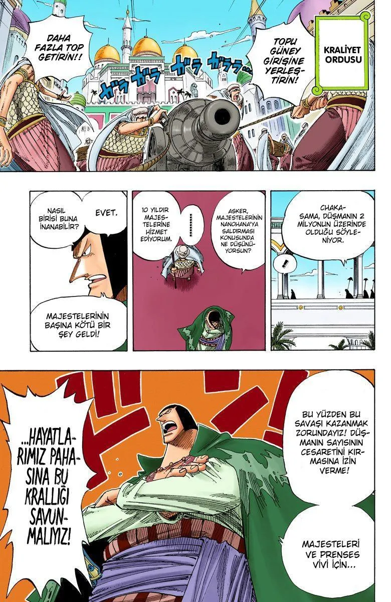 One Piece [Renkli] - Sayfa 14