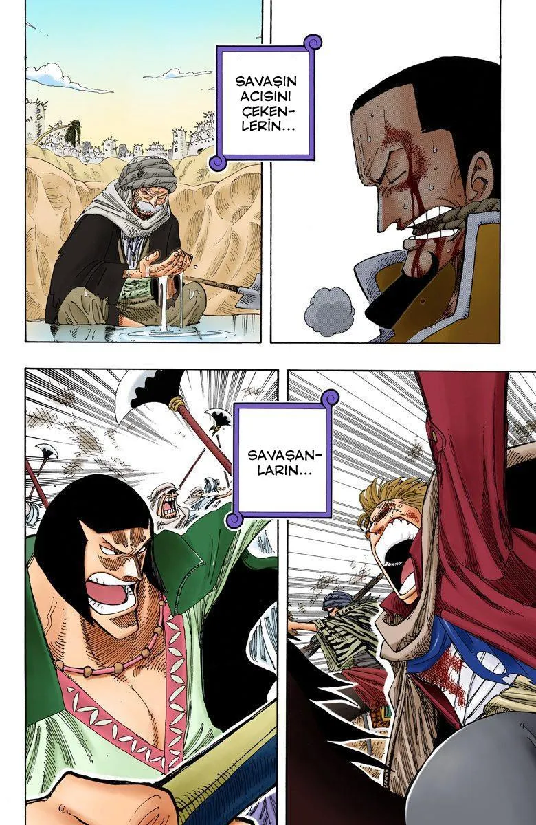 One Piece [Renkli] - Sayfa 17