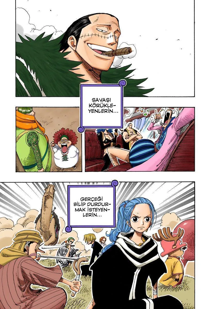 One Piece [Renkli] - Sayfa 18