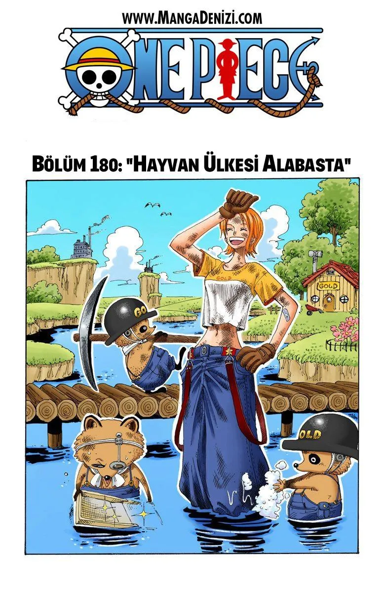 One Piece [Renkli] - Sayfa 2