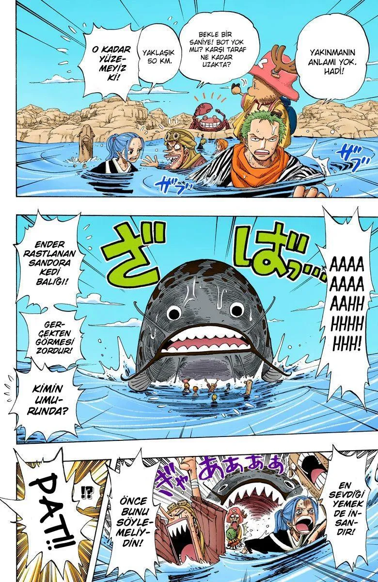 One Piece [Renkli] - Sayfa 15