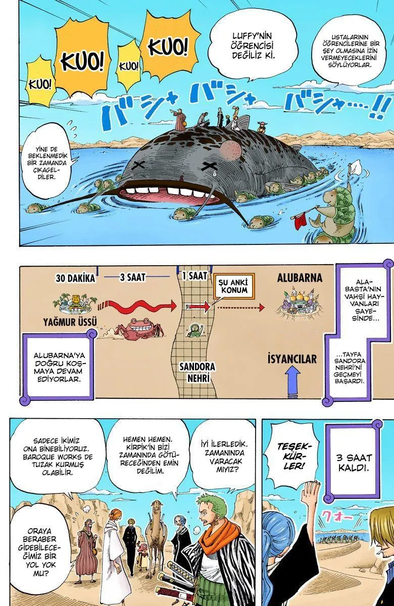 One Piece [Renkli] - Sayfa 17