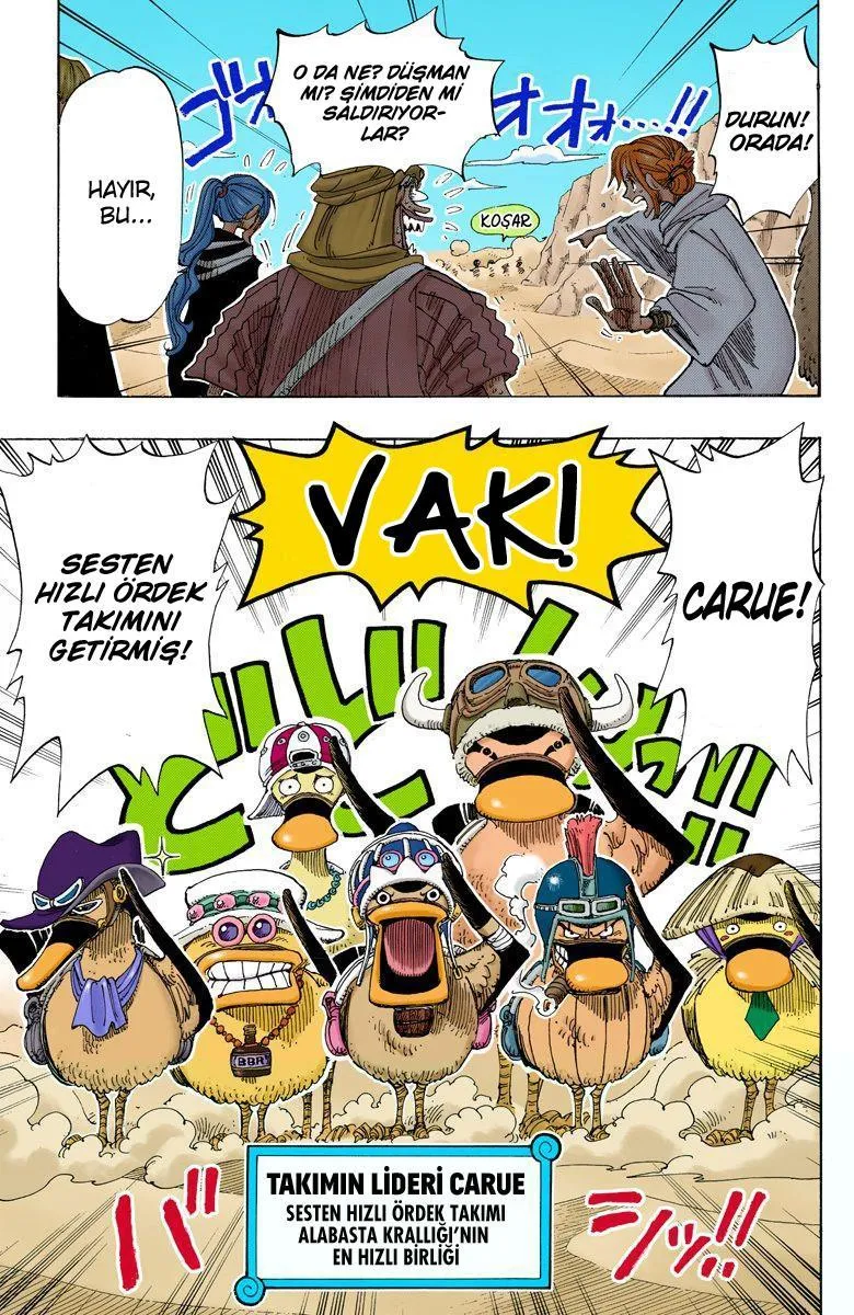 One Piece [Renkli] - Sayfa 18