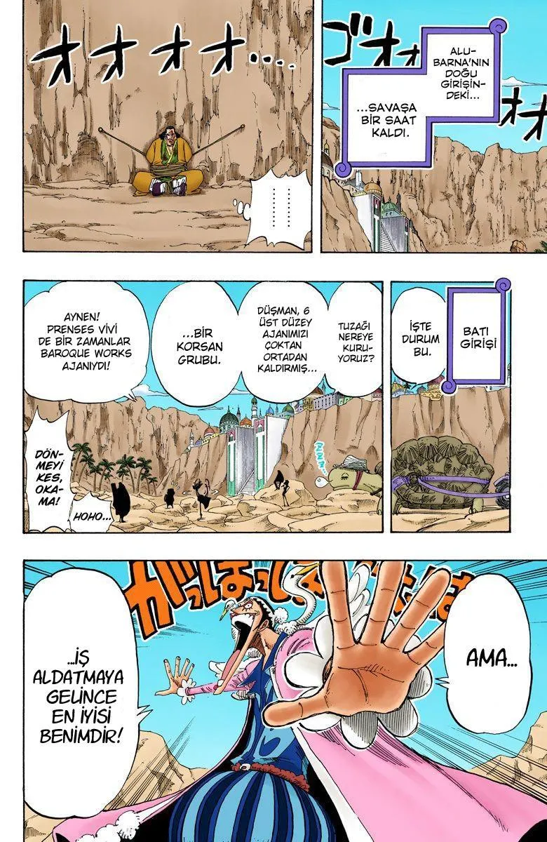 One Piece [Renkli] - Sayfa 19