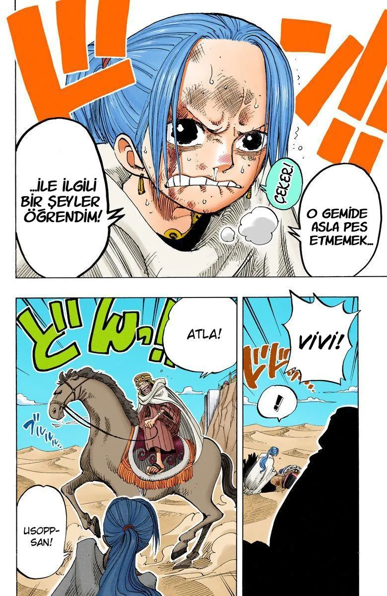 One Piece [Renkli] - Sayfa 16