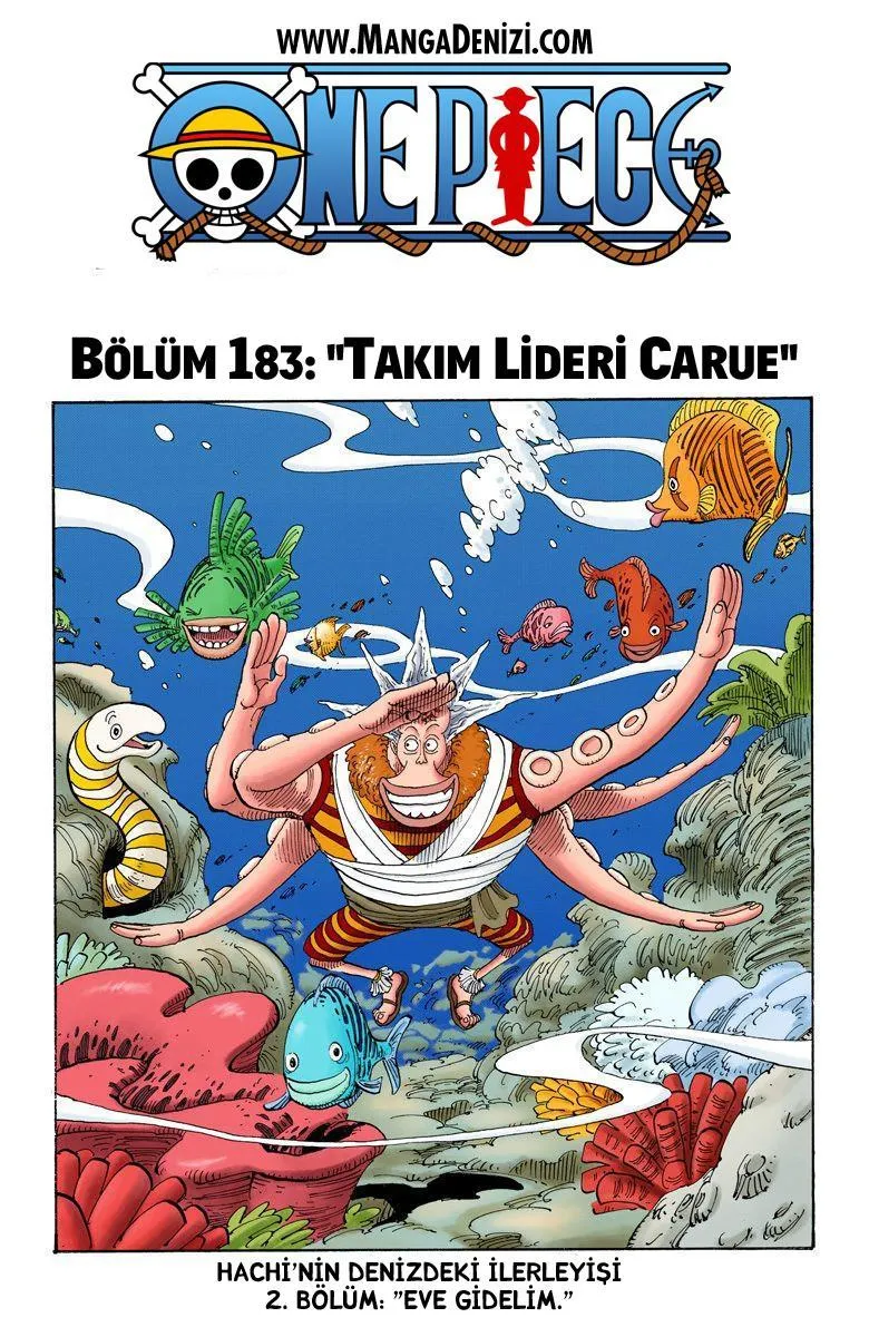 One Piece [Renkli] - Sayfa 2