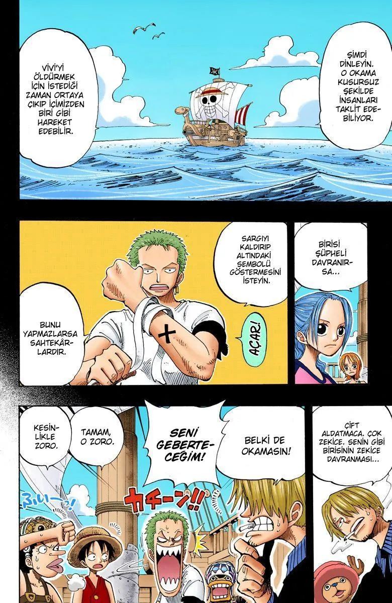 One Piece [Renkli] - Sayfa 3