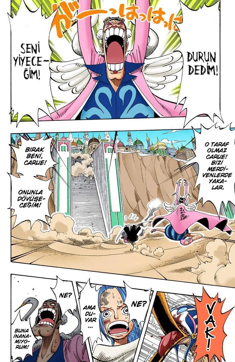 One Piece [Renkli] - Sayfa 5