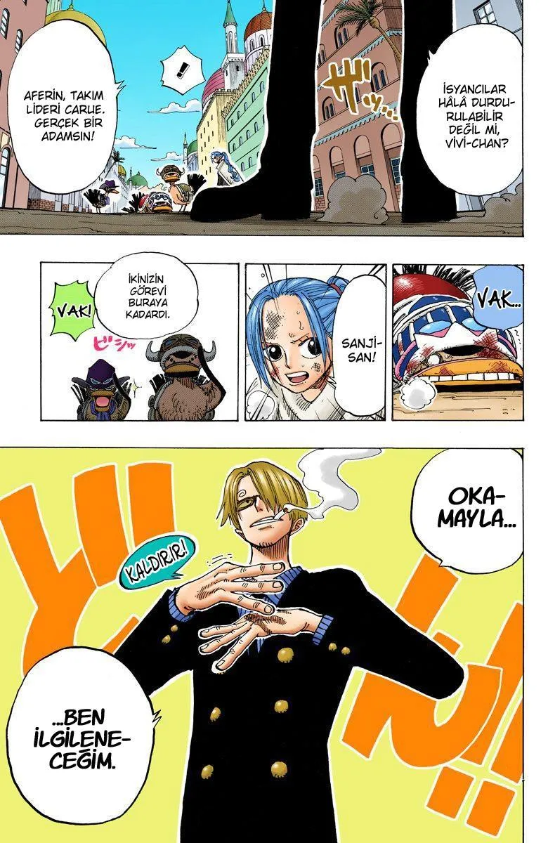 One Piece [Renkli] - Sayfa 14