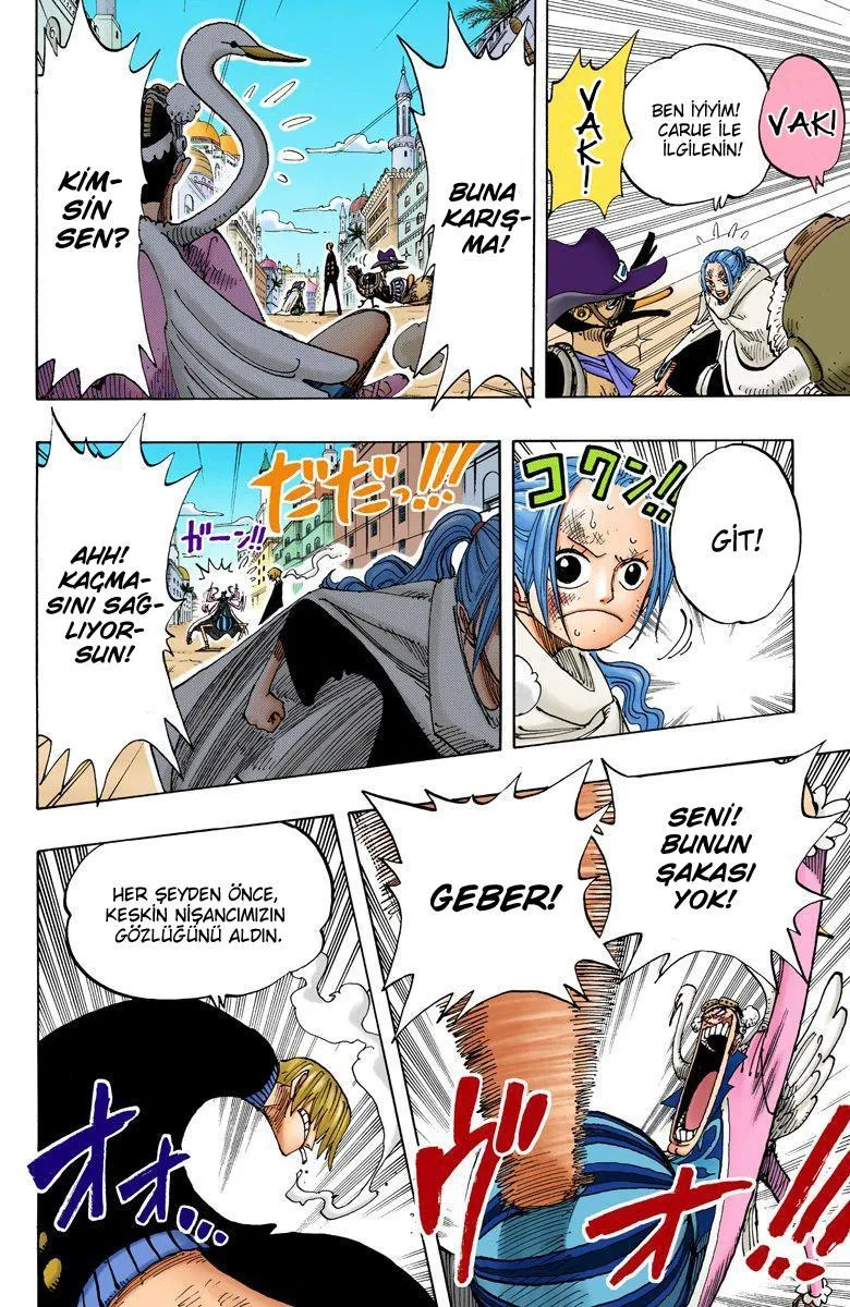 One Piece [Renkli] - Sayfa 15