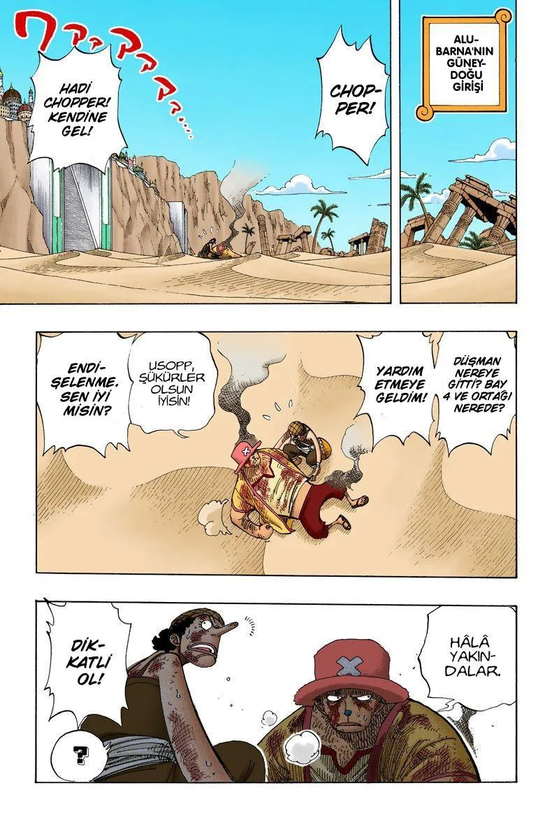 One Piece [Renkli] - Sayfa 18
