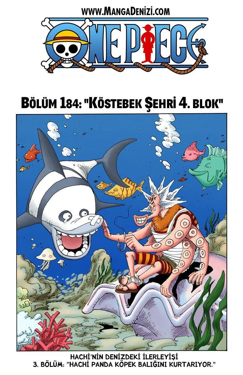 One Piece [Renkli] - Sayfa 2