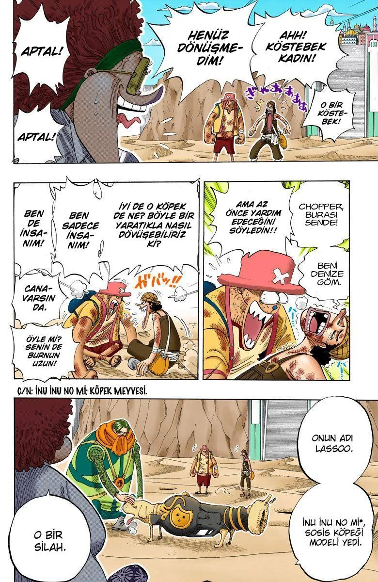 One Piece [Renkli] - Sayfa 9
