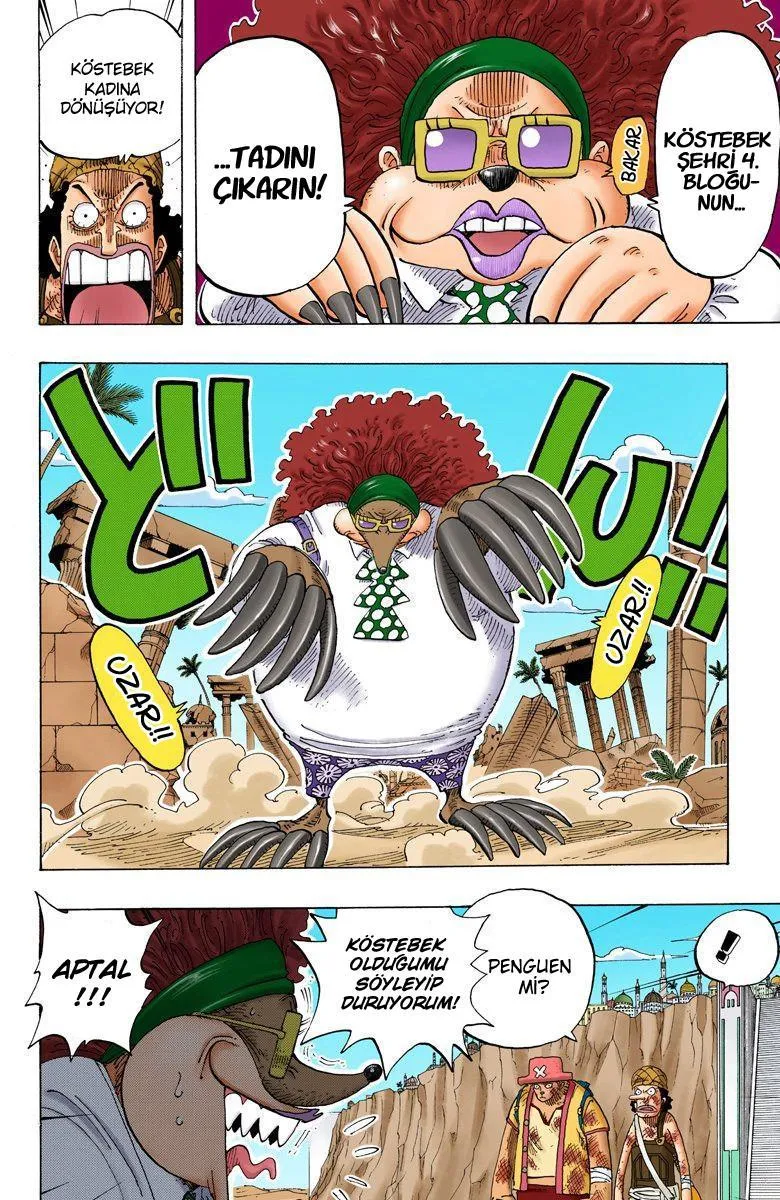 One Piece [Renkli] - Sayfa 11