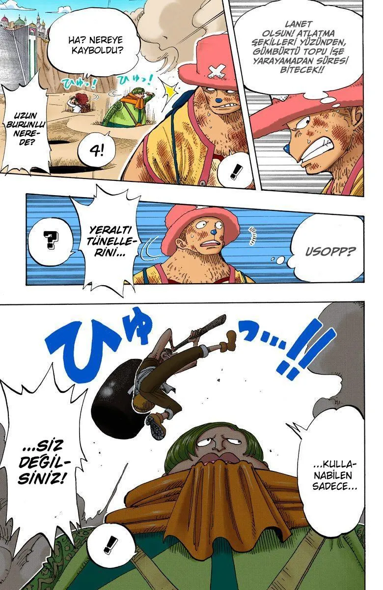 One Piece [Renkli] - Sayfa 18