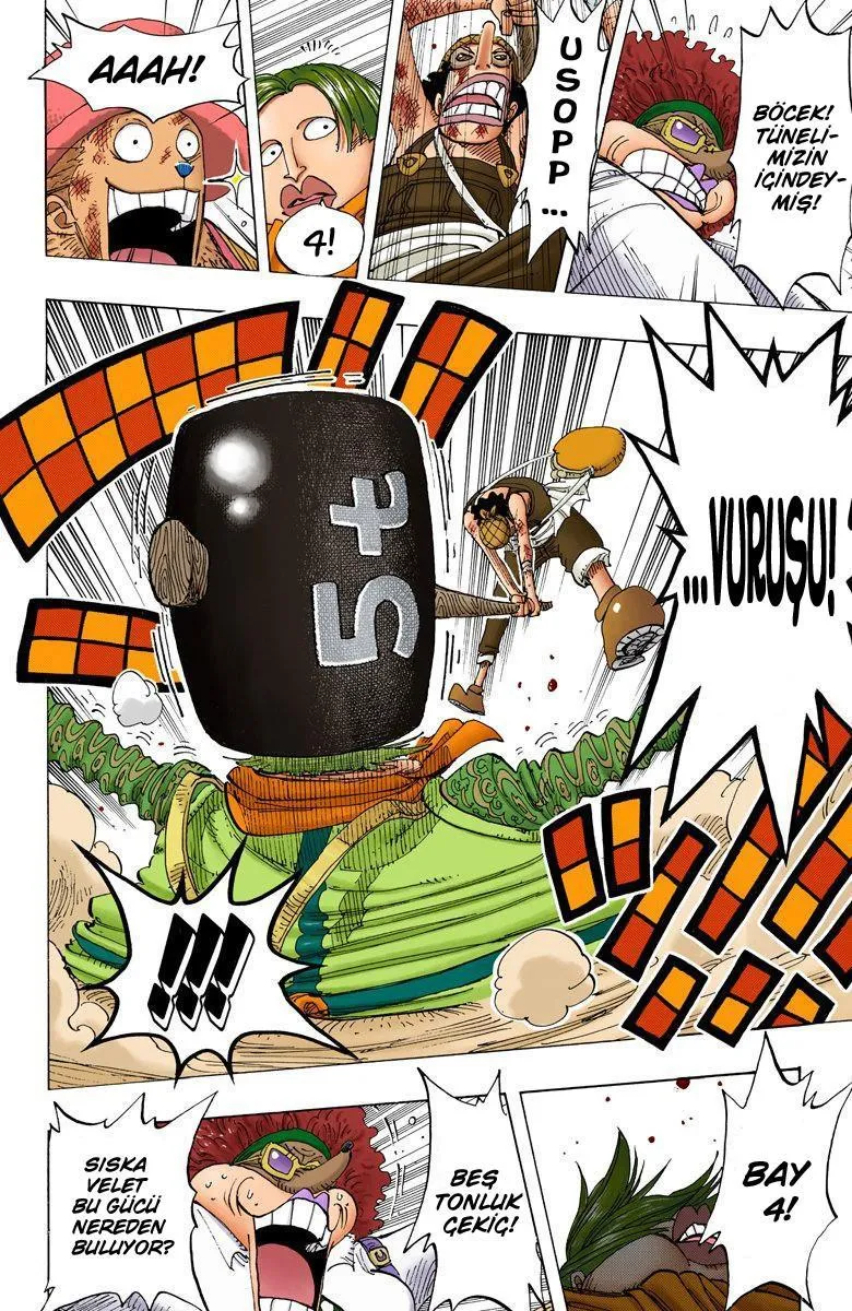 One Piece [Renkli] - Sayfa 19