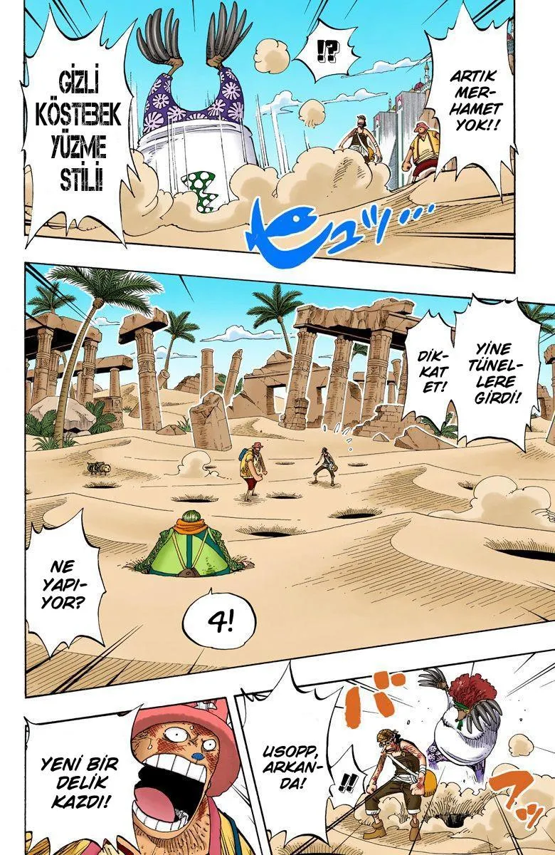 One Piece [Renkli] - Sayfa 9