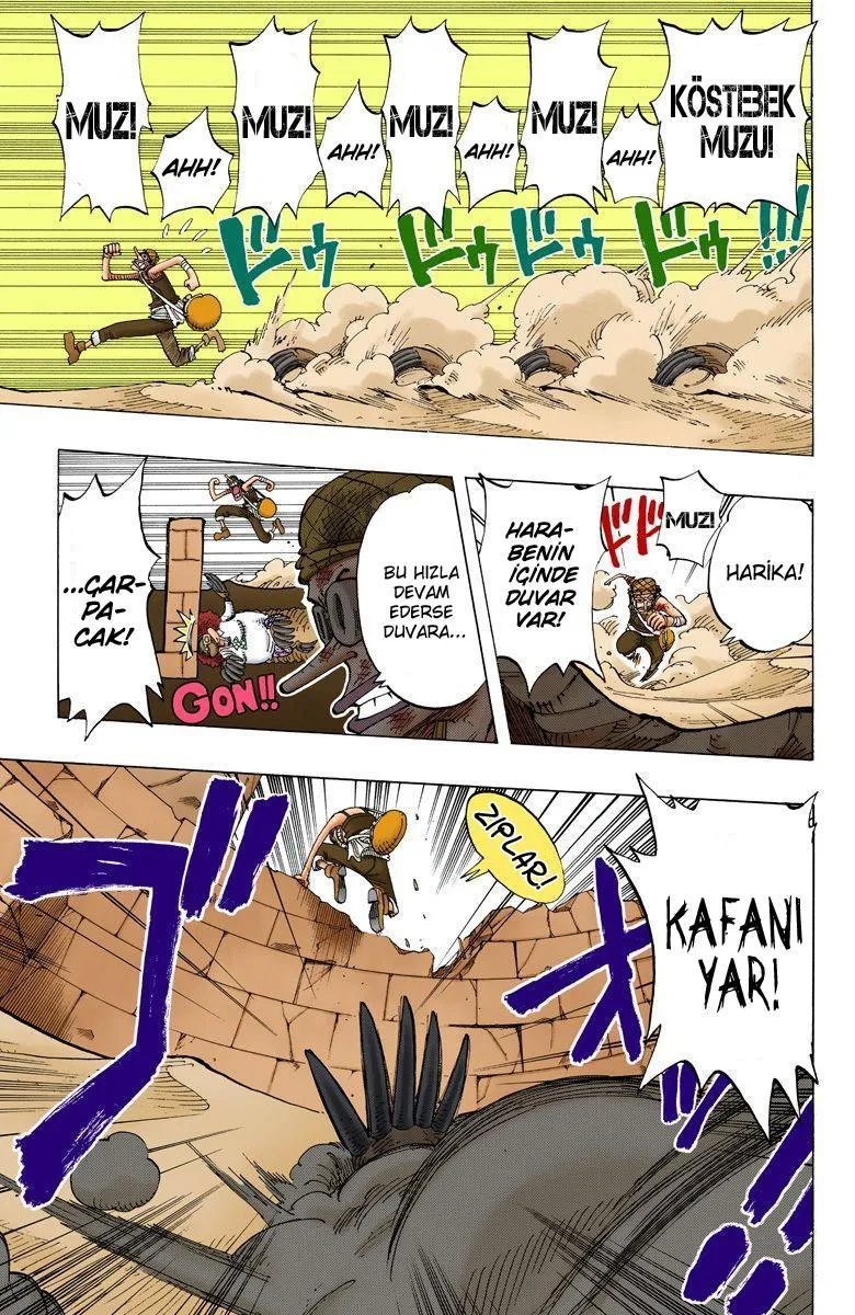 One Piece [Renkli] - Sayfa 14