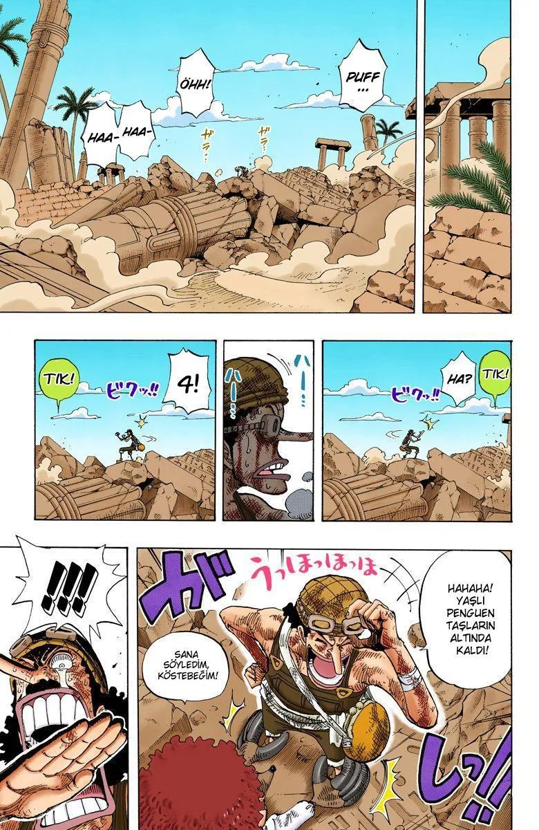 One Piece [Renkli] - Sayfa 16