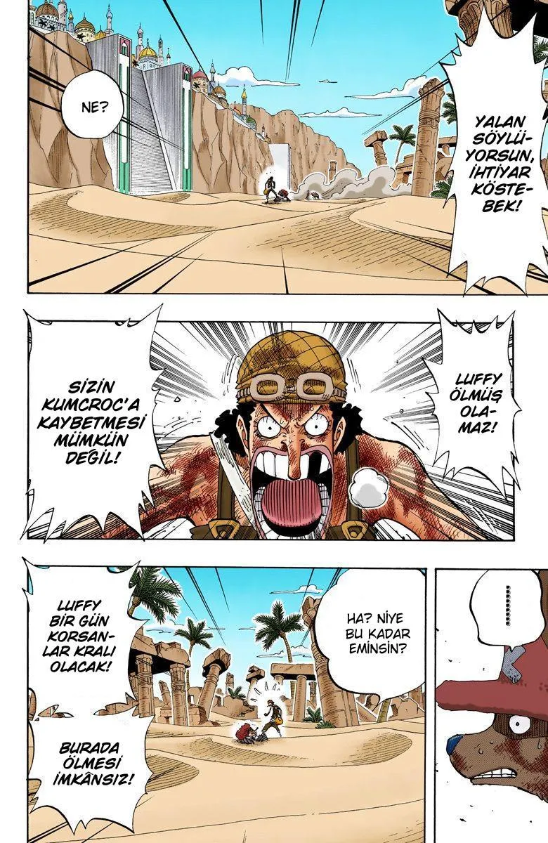 One Piece [Renkli] - Sayfa 6