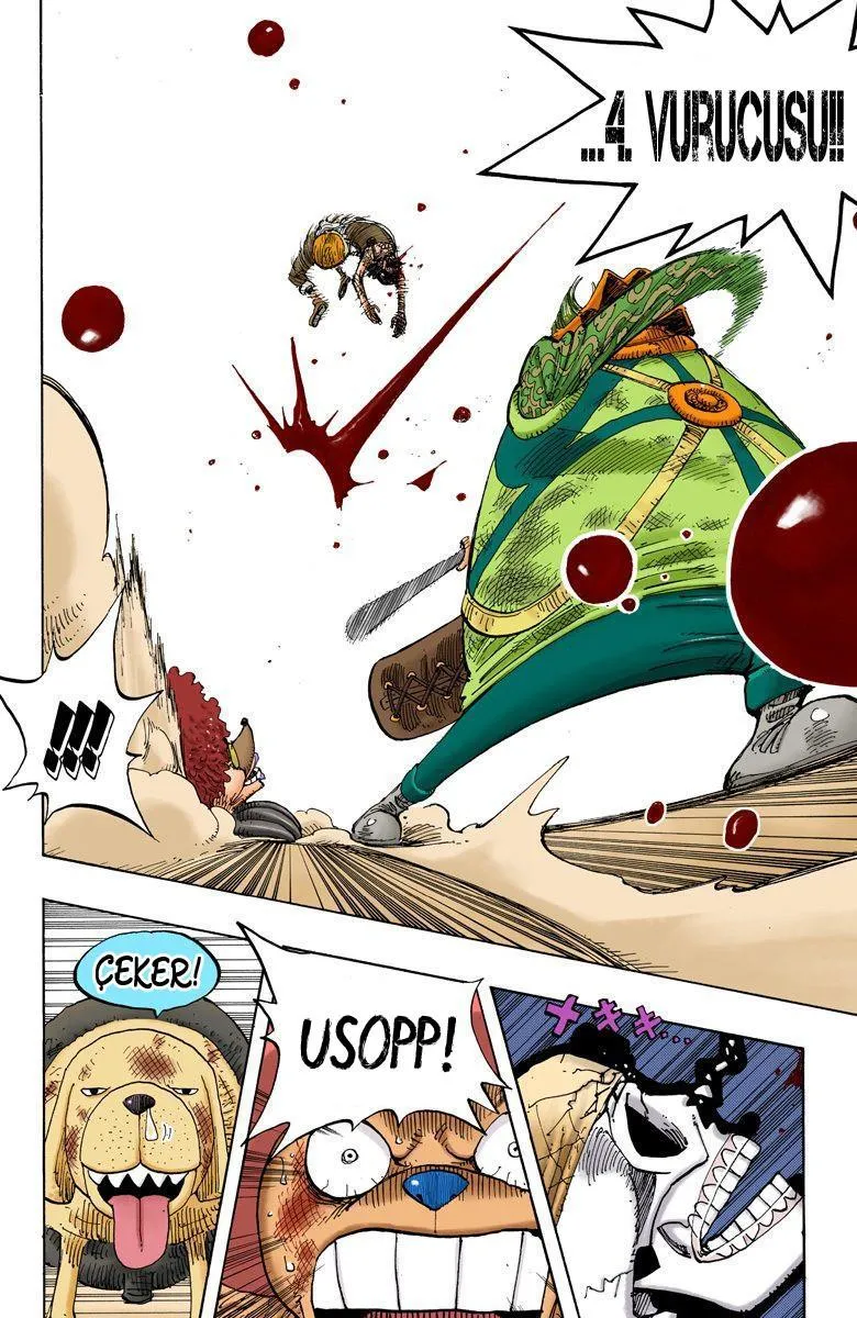 One Piece [Renkli] - Sayfa 10