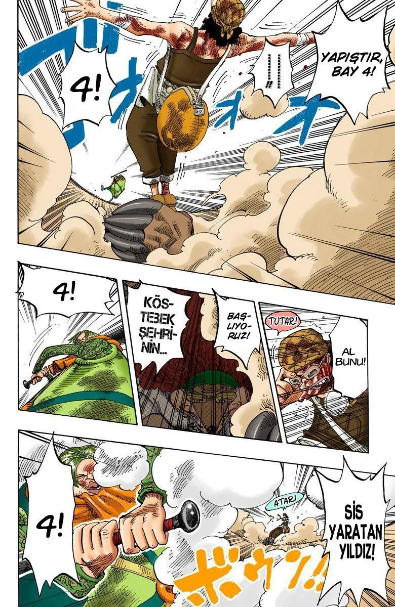 One Piece [Renkli] - Sayfa 14