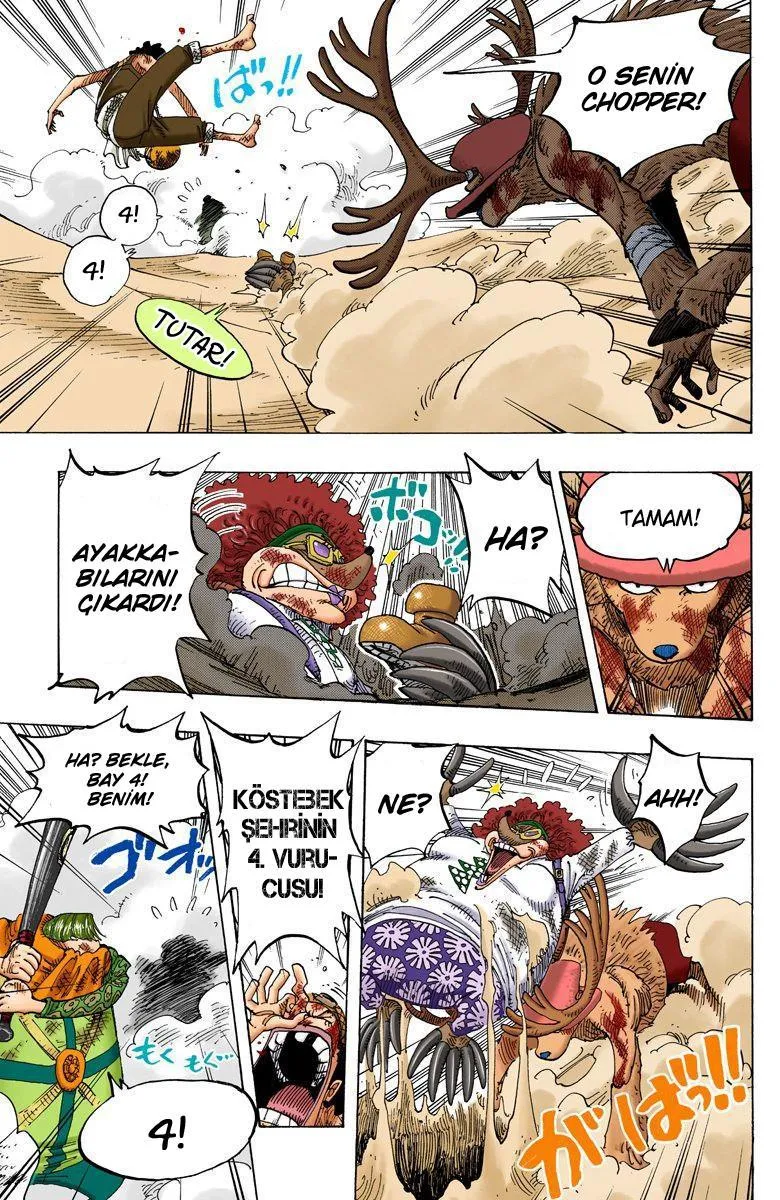 One Piece [Renkli] - Sayfa 15