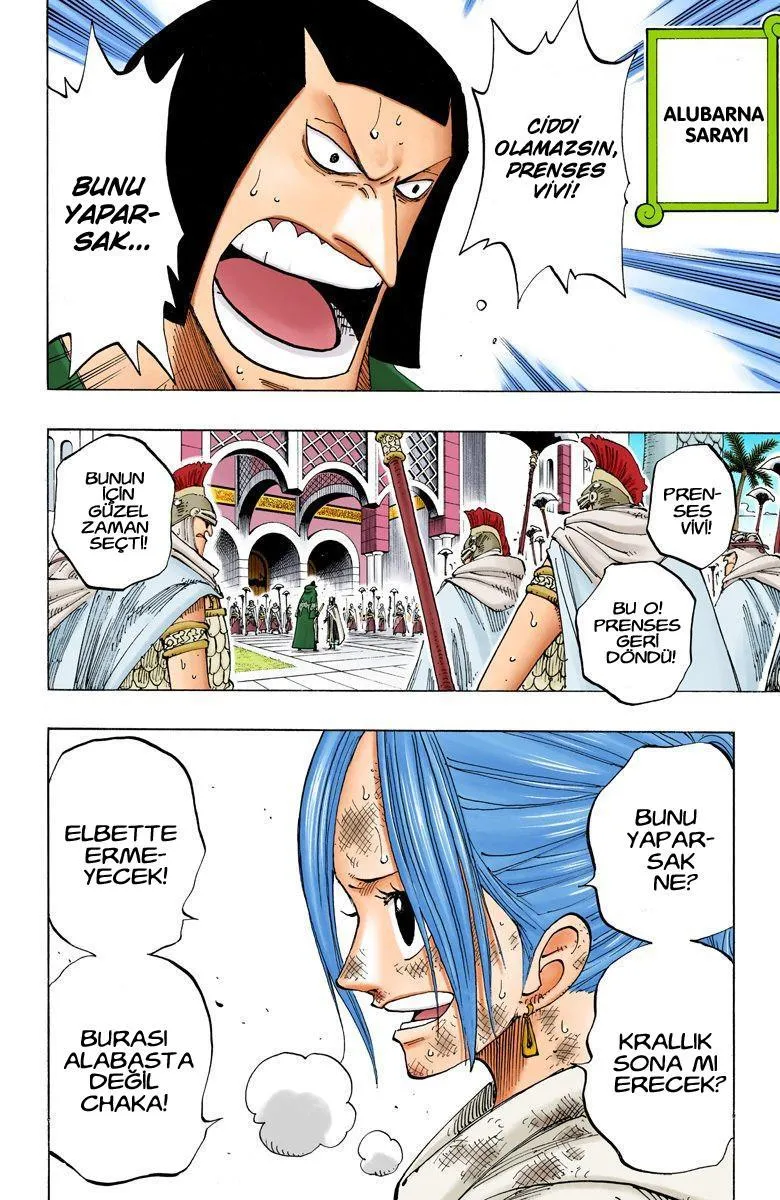 One Piece [Renkli] - Sayfa 19