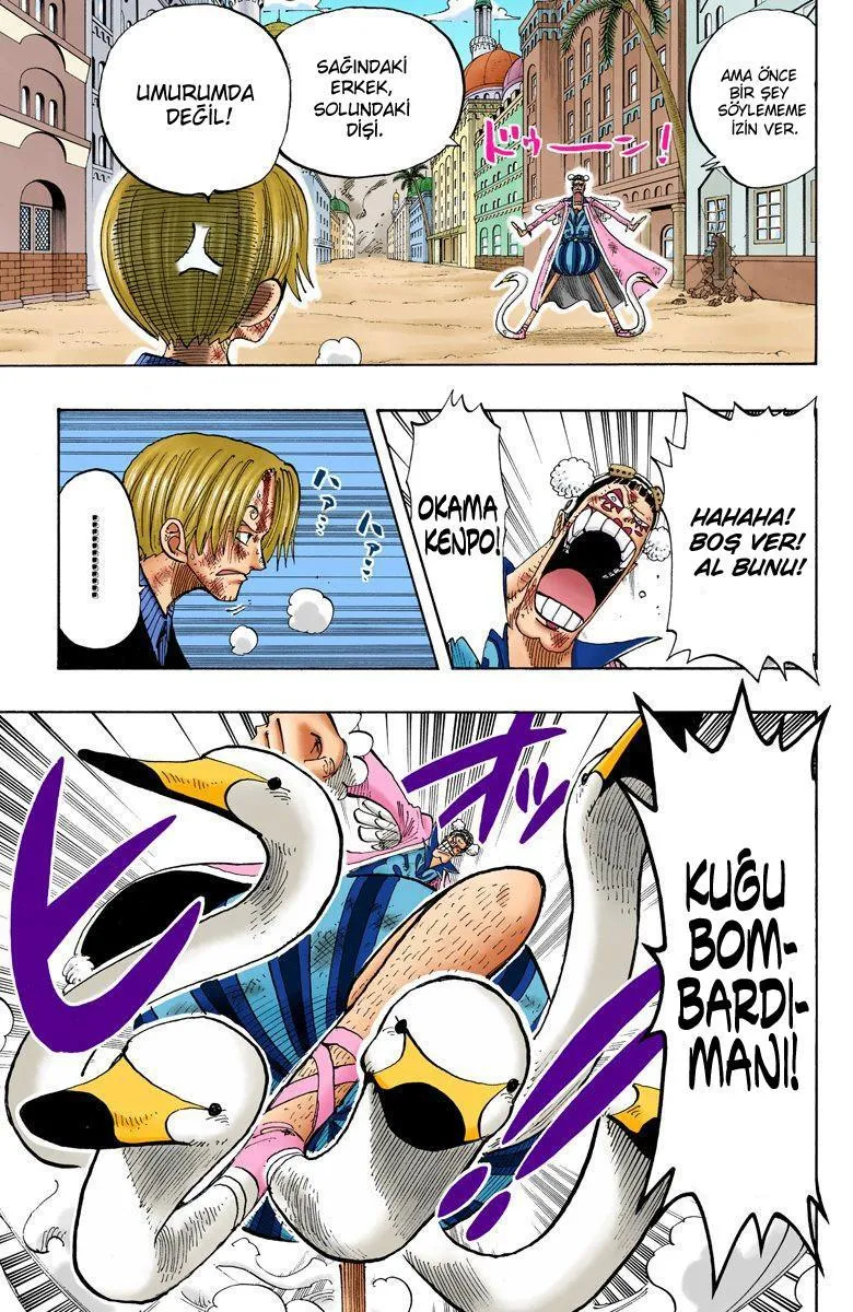 One Piece [Renkli] - Sayfa 14