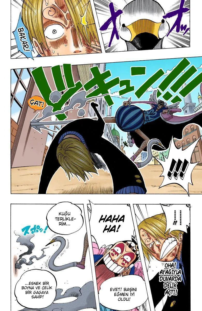 One Piece [Renkli] - Sayfa 15