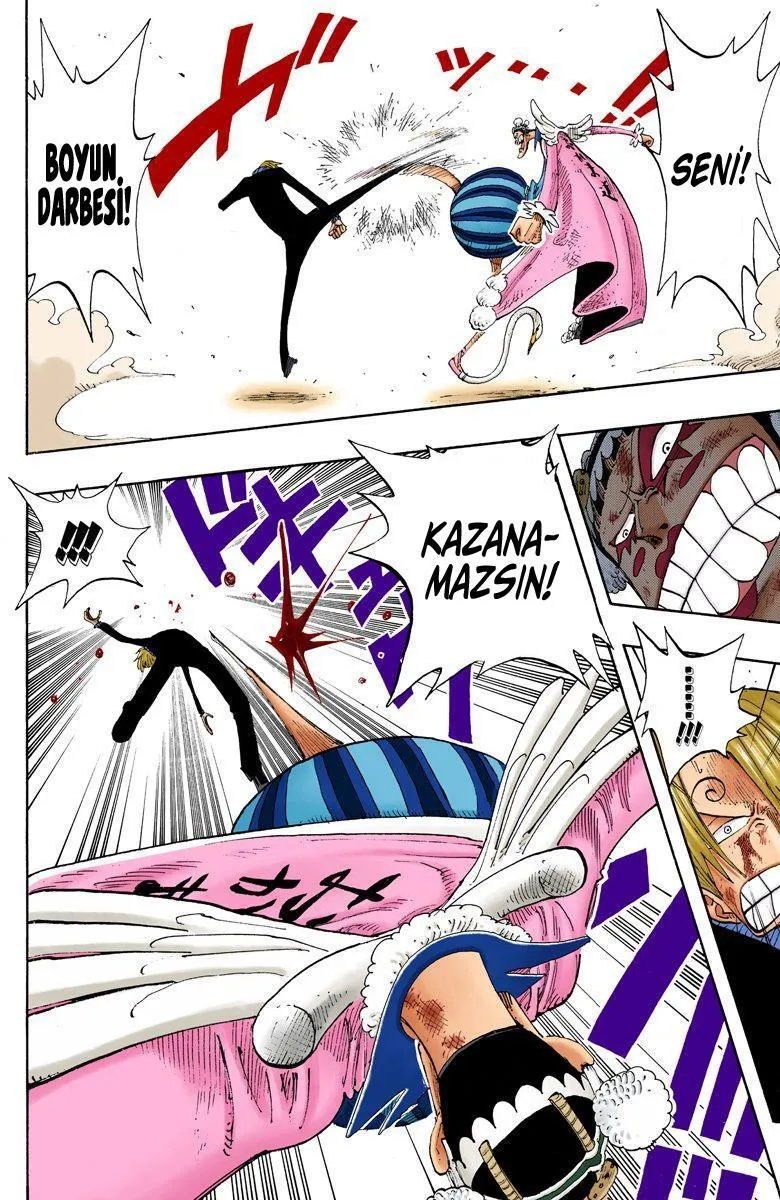 One Piece [Renkli] - Sayfa 17