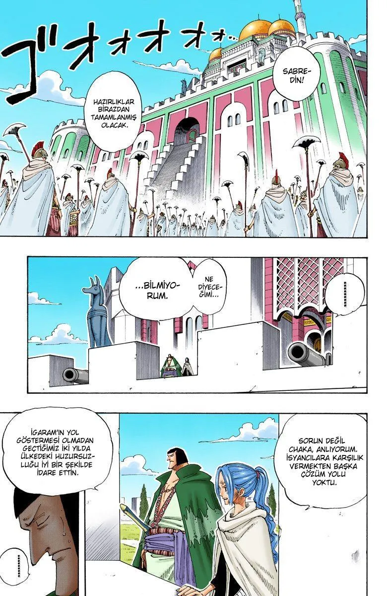 One Piece [Renkli] - Sayfa 12
