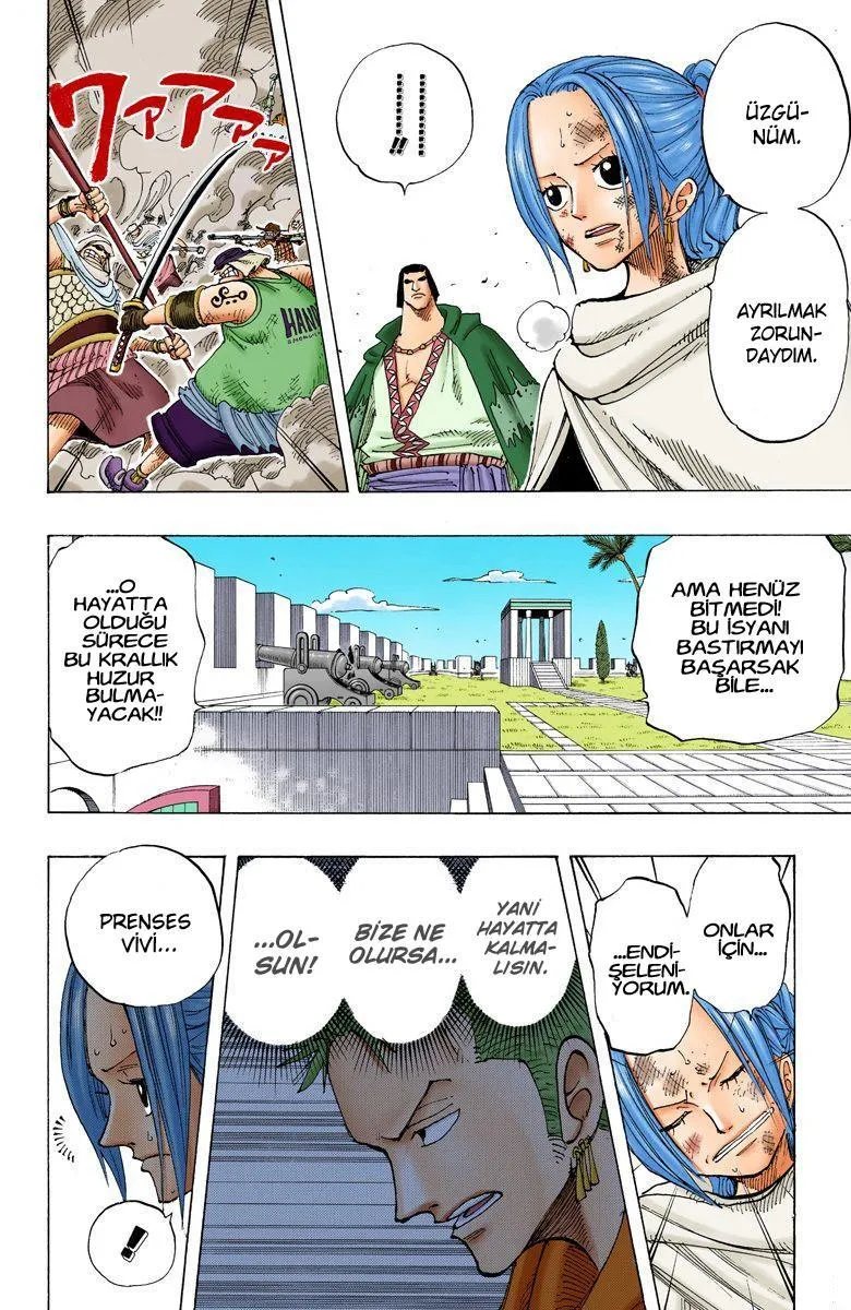 One Piece [Renkli] - Sayfa 13