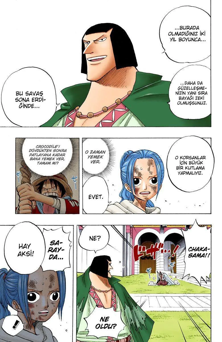 One Piece [Renkli] - Sayfa 14