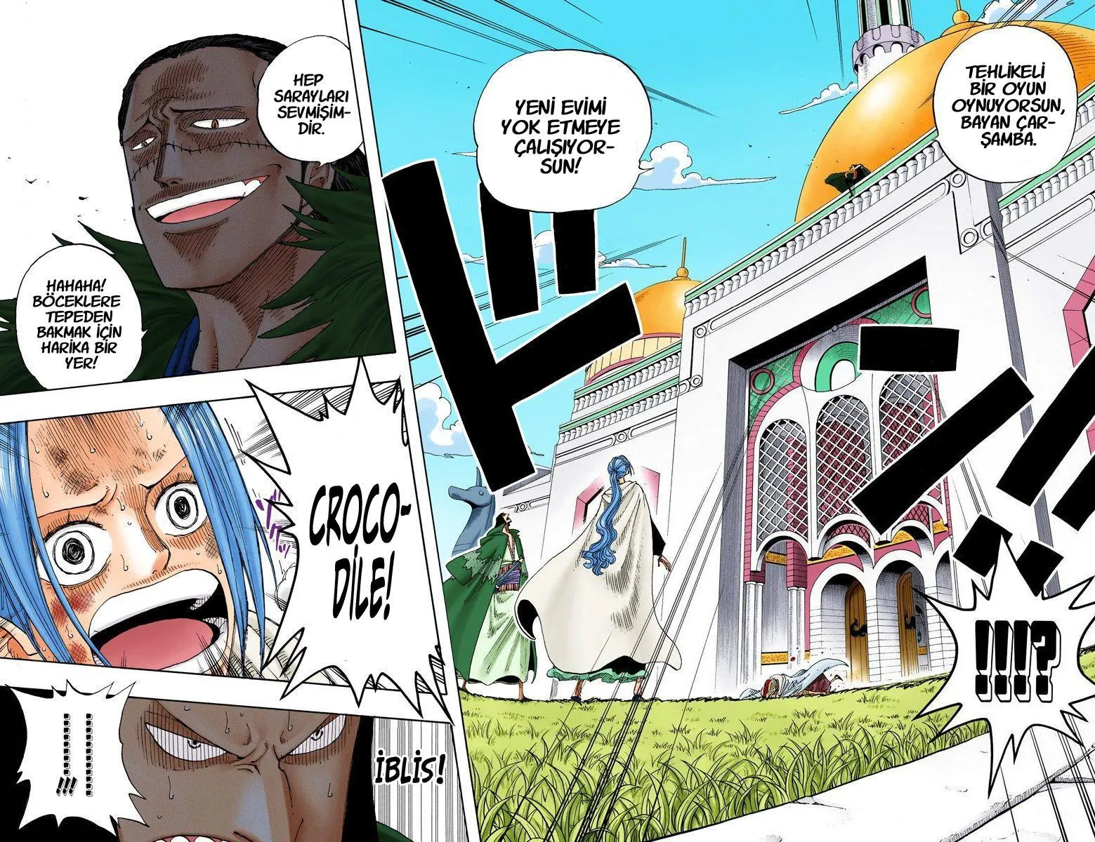 One Piece [Renkli] - Sayfa 15