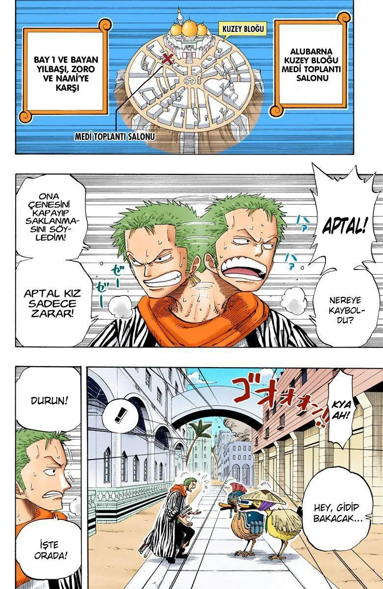 One Piece [Renkli] - Sayfa 16