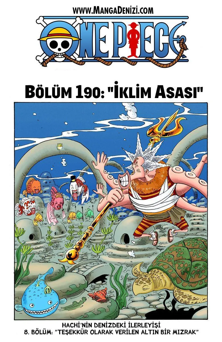 One Piece [Renkli] - Sayfa 2