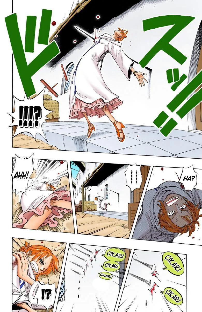 One Piece [Renkli] - Sayfa 15