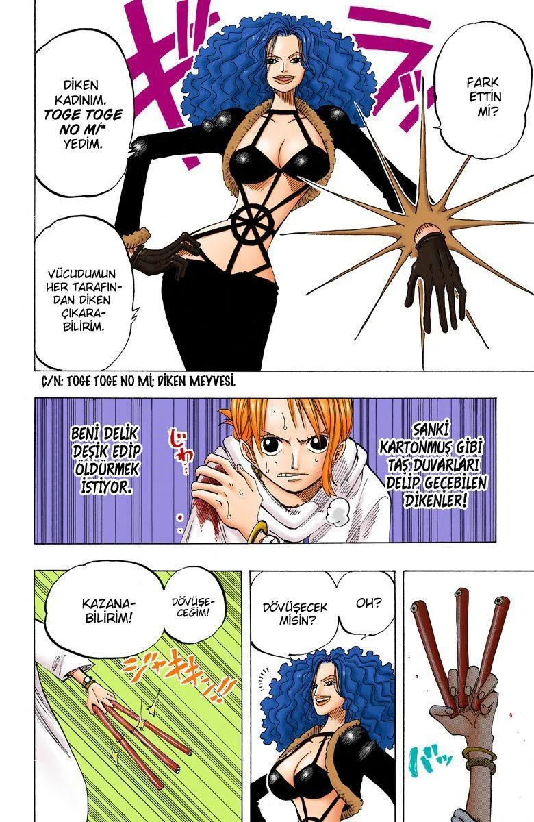 One Piece [Renkli] - Sayfa 17