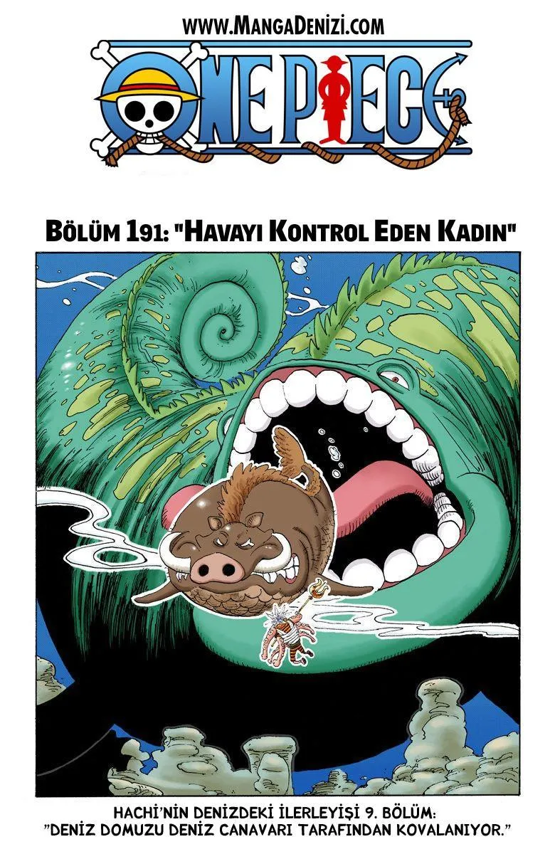 One Piece [Renkli] - Sayfa 2