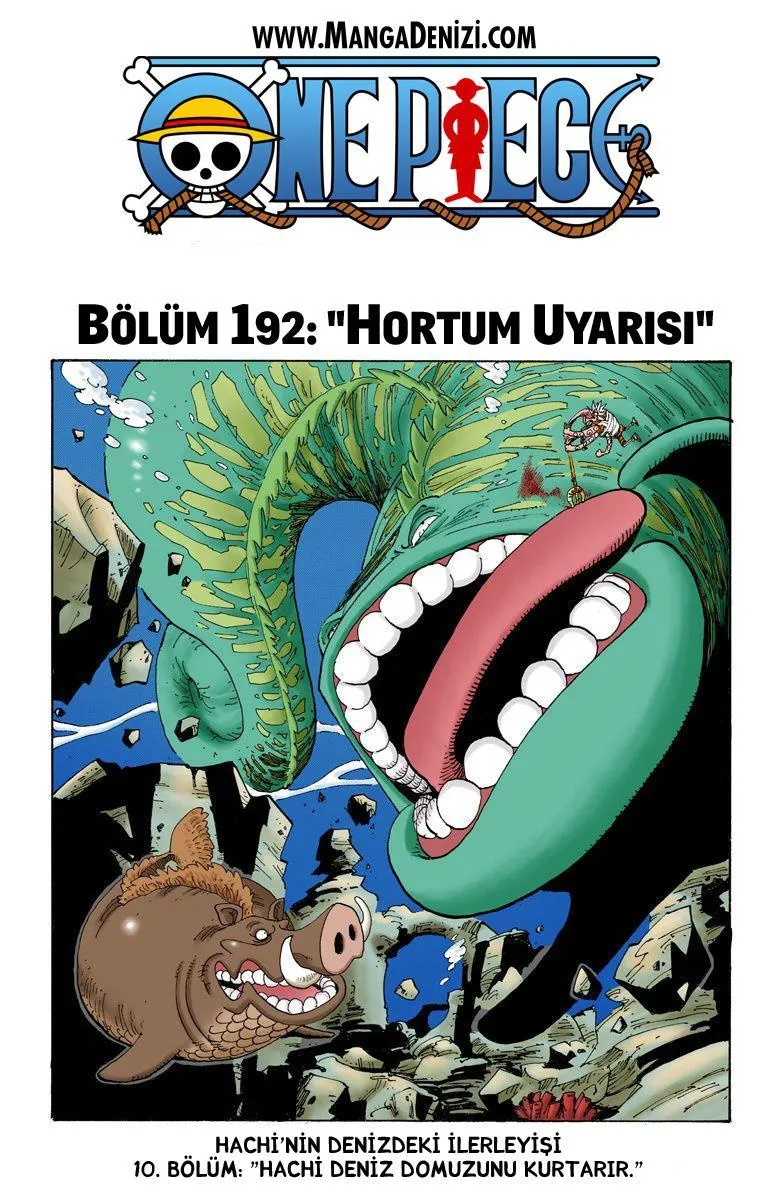 One Piece [Renkli] - Sayfa 2